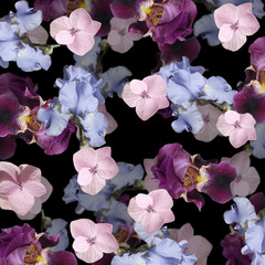 Fototapeta na wymiar Beautiful floral background of irises and hydrangea. Isolated