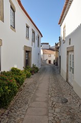 Flower pots at street in Marvao, Portugal