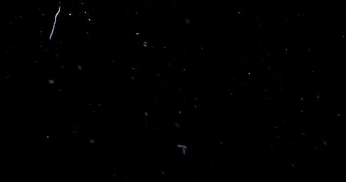 Natural Dust Particles Overlay 01