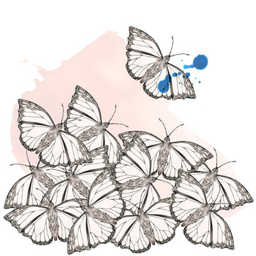 Butterflymood 2