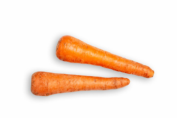 Close-up of fresh Carrot on a white background. Carrot on the white isolated background. Ripe carrots.