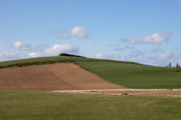 Naklejka premium Rural Fields in front of Blue Sky