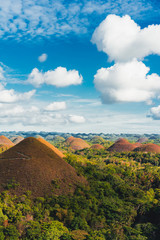 Chocolate Hills in the Bohol island in the Philippines, covered in brown grass. Famous touristic place