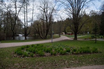 Fototapeta na wymiar paths in the park