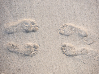 Footprints in the beach sand