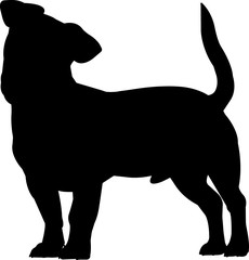 Jack Russell Terrier 5 isolated vector silhouette - obrazy, fototapety, plakaty