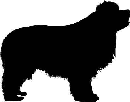 recommend clip art: Newfoundland 5 isolated vector silhouette