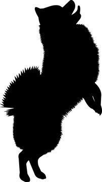 Pomeranian 10 Isolated Vector Silhouette