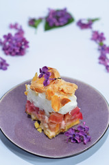 A piece of cake with rhubarb on a light background