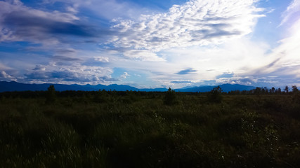  Summer landscape. Field, forest, mountains, sky, clouds. Lake Baikal.