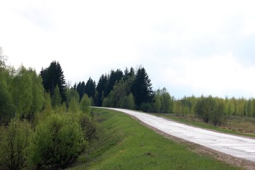 Fototapeta na wymiar asphalt road in countryside