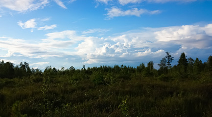Naklejka na ściany i meble Summer landscape. Field, forest, mountains, sky, clouds. Lake Baikal.