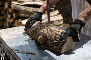 Man cutting and sawing a log in his back yard