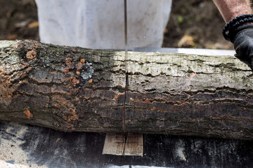 Fototapeta premium Man cutting and sawing a log in his back yard