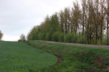 road in countryside