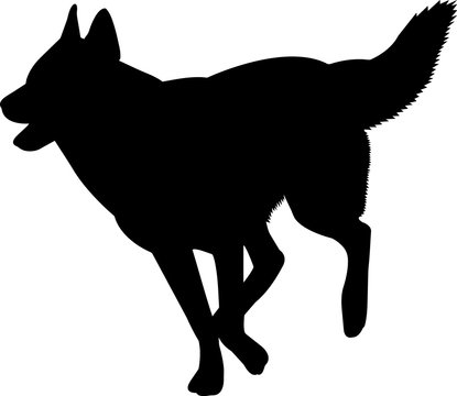 recommend clip art: Siberian Husky 5 isolated vector silhouette