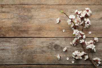 Beautiful fresh spring flowers on wooden table, top view with space for text
