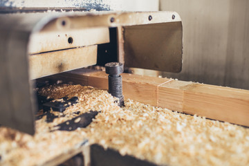 Woodworking factory - the production of building materials from timber