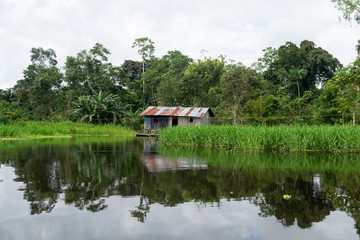 casa amazonas