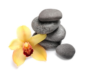 Fototapeta na wymiar Beautiful orchid flower and spa stones on white background