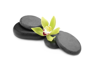 Beautiful orchid flower and spa stones on white background