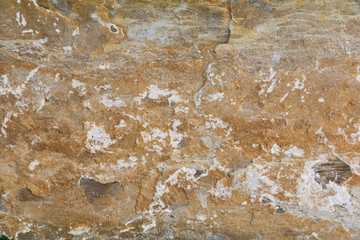 Unpolished shale stone, texture and background