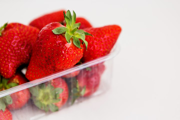 in plastic container on white background,rejection of plastic packaging
