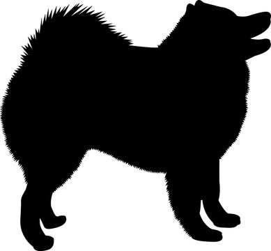 Samoyed 10 isolated vector silhouette