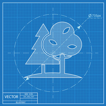 Forest with trees and furtrees illustration. Nature vector blueprint icon
