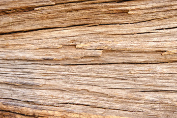 Wood texture background, Retro wallpaper background, Log  closeup