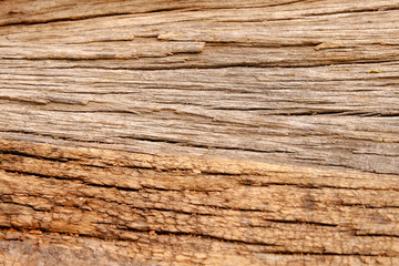 Wood texture background, Retro wallpaper background, Log  closeup