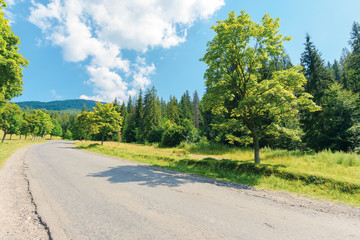 Fototapeta na wymiar old country road in to the mountains. nature scenery with trees along the way. sunny summer landscape with clouds on a blue sky