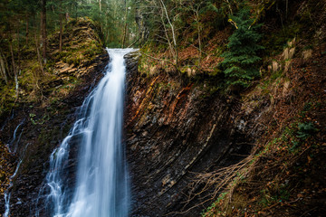 A powerful stream of water breaks from a high cliff turning into a large waterfall and smashing into drops of rocks. Around the stones covered with moss and greenery and dense green forest