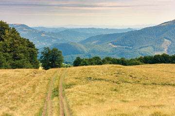 country road through grassy meadow in mountains. nature scenery with beech trees in the distance. sunny late summer landscape with clouds on a blue sky. beautiful carpathian countryside 