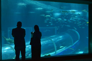 Aquarim in Rio de Janeiro, Brazil