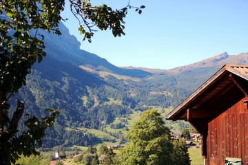 Berge in Grindelwald
