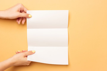 Blank euro booklet holds in female hand