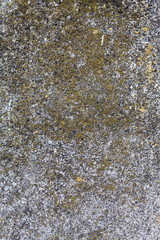 Old Weathered Concrete Wall Texture