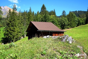 Fototapeta premium Hütte in den Bergen