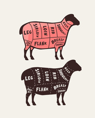 Cut of meat, lamb. Poster butcher diagram and scheme, vector illustration