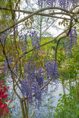 Giverny, France - 05 07 2019: The gardens of Claude Monet in Giverny. The nympheas