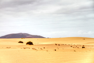 Fototapeta na wymiar Desertzone