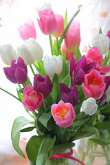 Multicolored fresh tulips. A bouquet of spring flowers.