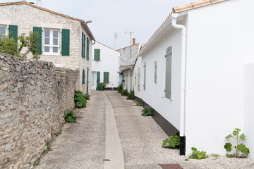 Fototapeta na wymiar authentic cobblestone and white house street in Saint Martin de Re France