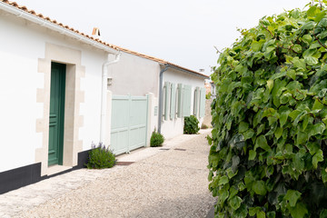 Ile de Re street house building historical in france Les Portes en Re