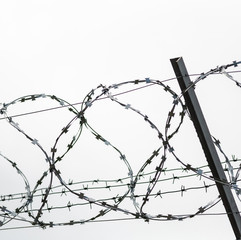 Barbed wire on country border. Barbwire on fence for prohibition of illegal aliens crossing.