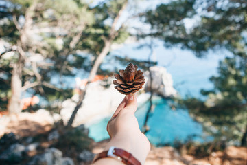A girl holds in her hand a fir cone on the background of a natural landscape with dervishes and the sea. Eco-friendly concept.