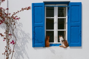 Eindrücke aus Mykonos - Griechenland