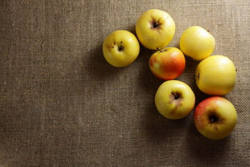 Yellow apples lie on the cloth burlap. 