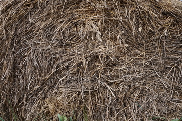on the field lies an old hay roll